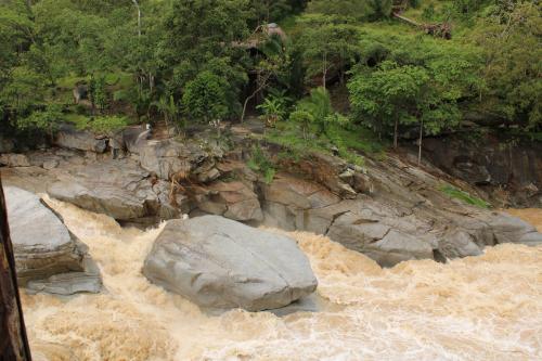 Río Los Horcones