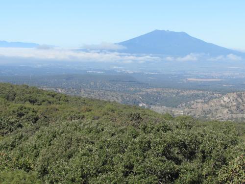 Volcán de Tequila